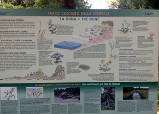 Agriturismo toscana vicino al mare, Agriturismo a Piombino, Fattoria del Mortelliccio
